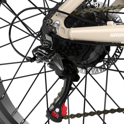 Shengmilo S700 Electric Bike